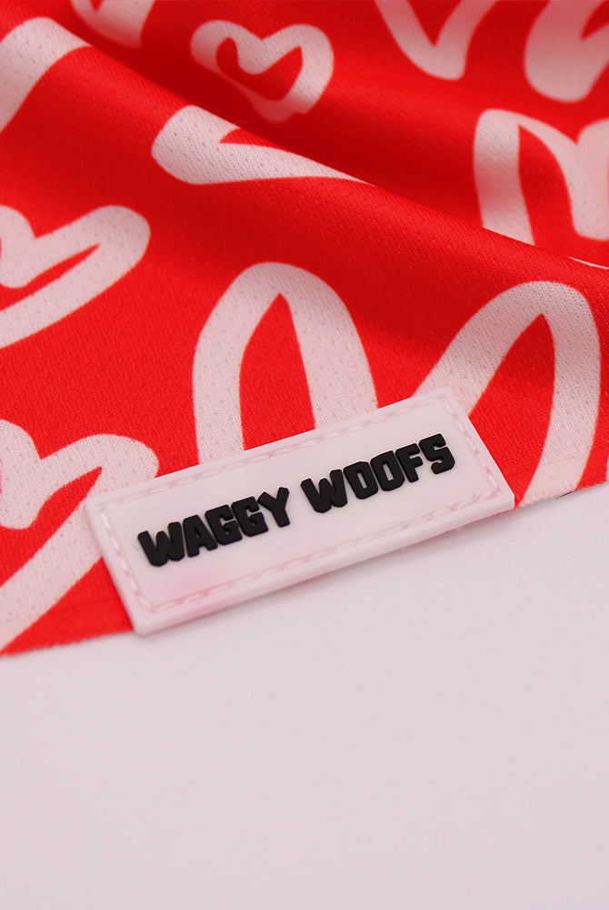 Hearts Bandana - Waggy Woofs