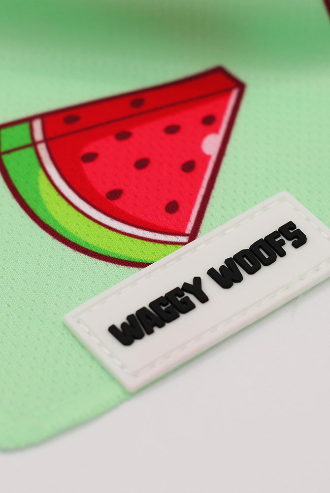 Watermelon Bandana - Waggy Woofs