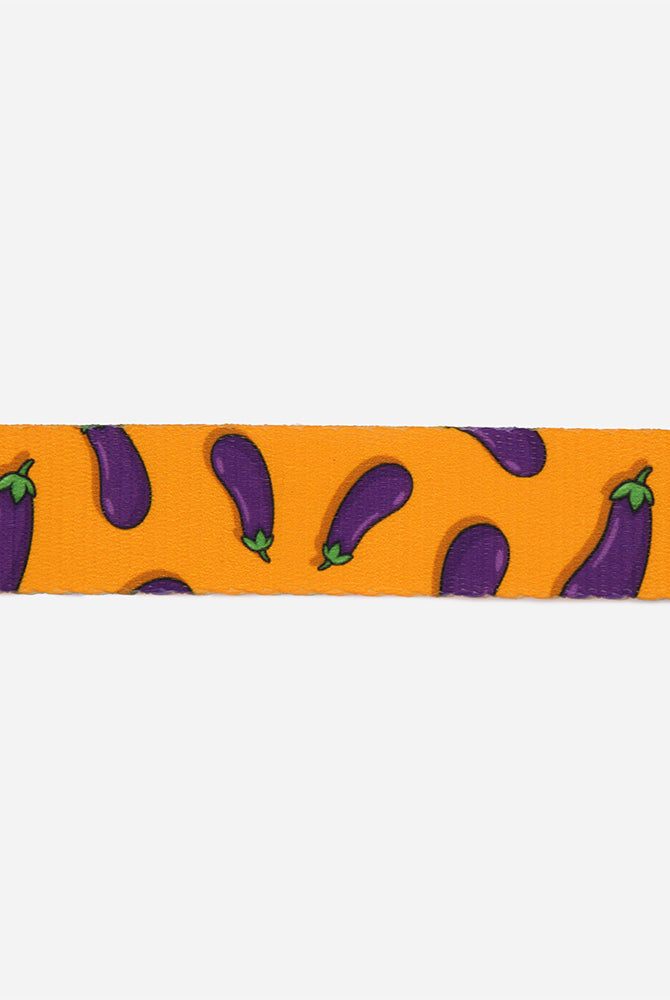 Egg Plant Leash - Waggy Woofs