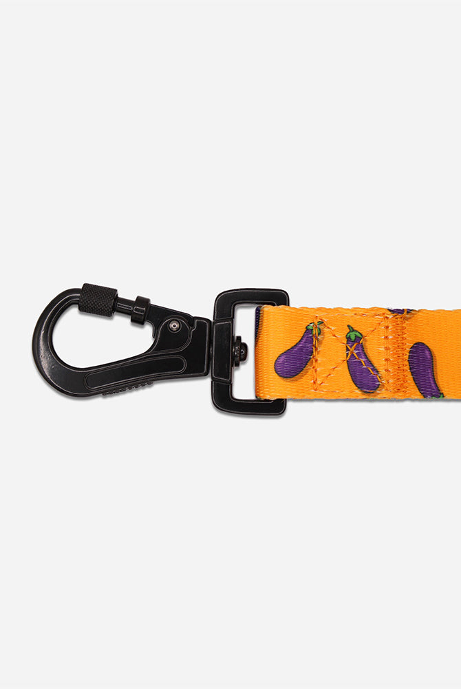 Egg Plant Leash - Waggy Woofs