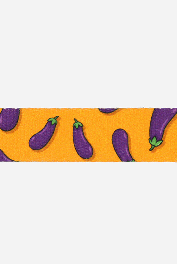 Egg Plant Collar - Waggy Woofs