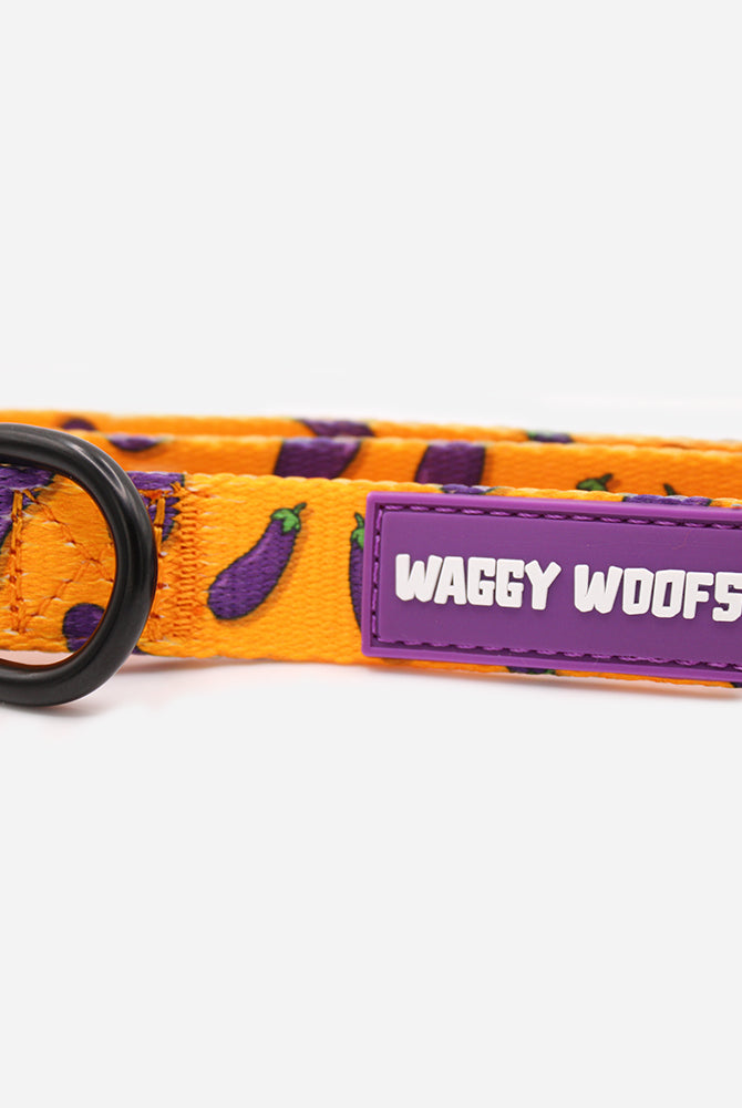 Egg Plant Collar - Waggy Woofs