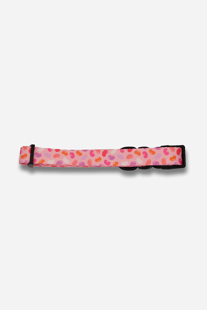 Jelly Bean Collar - Waggy Woofs