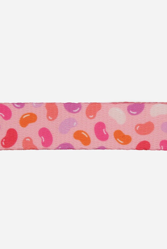 Jelly Bean Collar - Waggy Woofs
