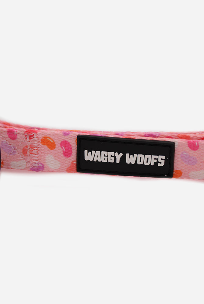 Jelly Bean Collar - Waggy Woofs