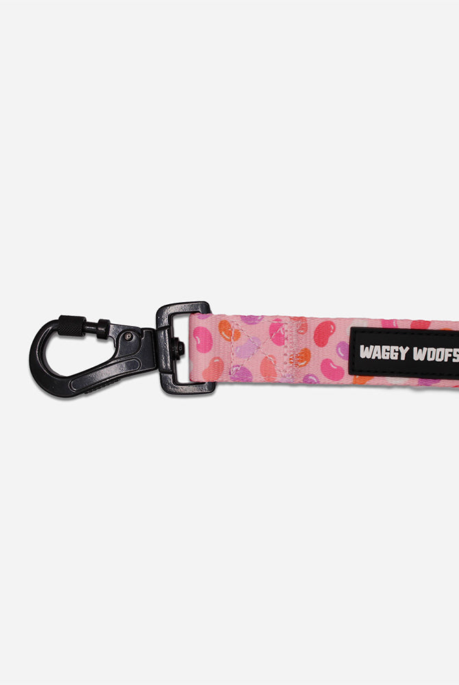 Jelly Bean Leash - Waggy Woofs