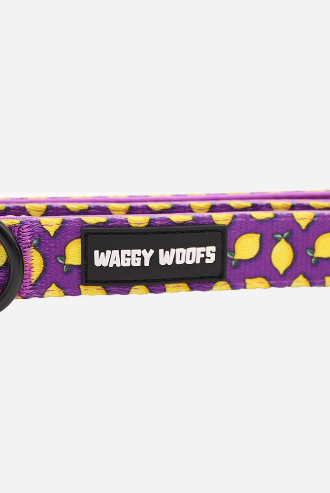 Lemon Collar - Waggy Woofs