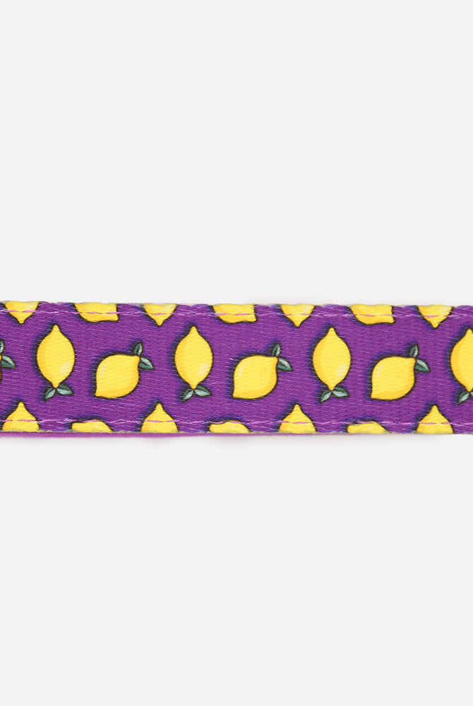 Lemon Leash - Waggy Woofs