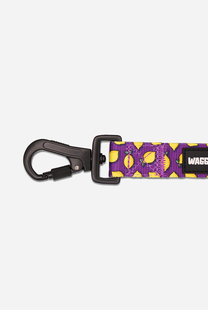 Lemon Leash - Waggy Woofs