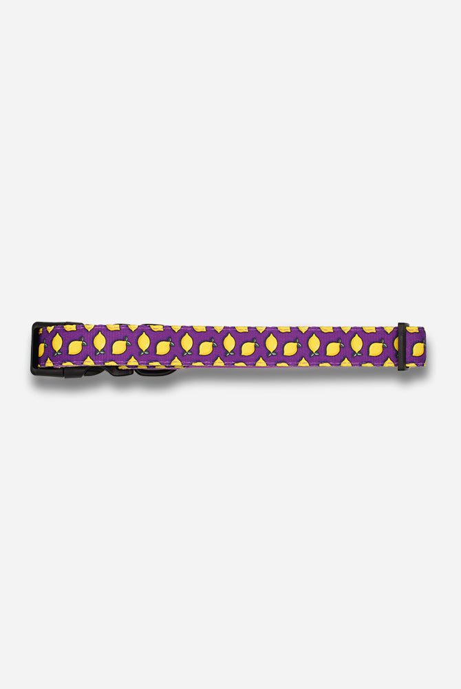 Lemon Collar - Waggy Woofs