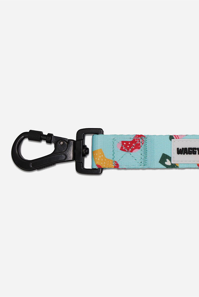 Sock Leash - Waggy Woofs