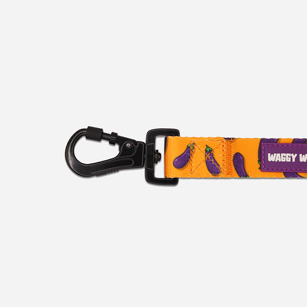 Egg Plant Leash - Waggy Woofs