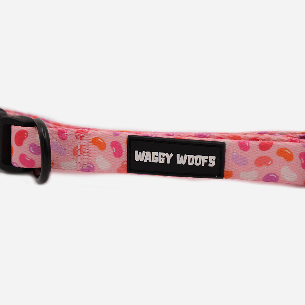 Jelly Bean Collar - Waggy Woofs