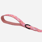 Jelly Bean Leash - Waggy Woofs