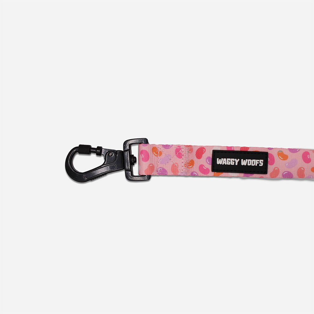 Jelly Bean Leash - Waggy Woofs